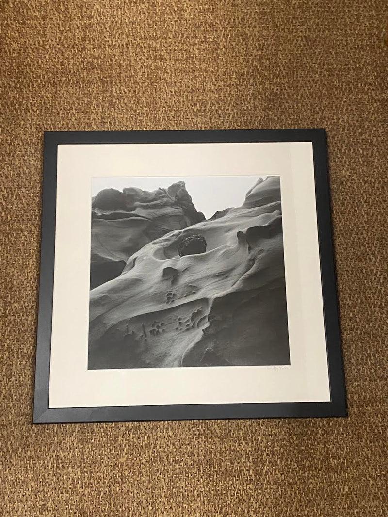 "The Sculptor is the Wind, Waves, and Sea Spray" - Hannah Joy Root Photograph