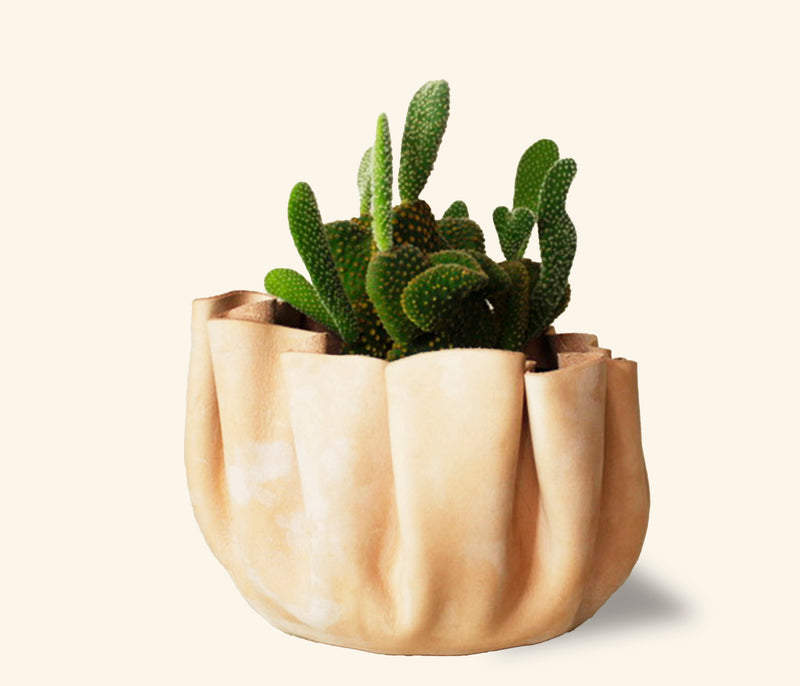 Sculpted Planter - 6"